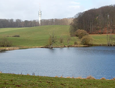 Fiernseihtum Schlemmin. Dei See in'n Vörrergrunn is nich dei Swatte See