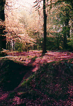 Fotograf: © Gerhard Giebener/pixelio