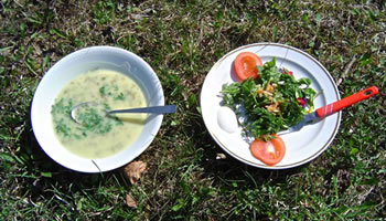 Uns Johresringler ut Pierknüppel (Rostock) schmeckten dei  schmackhaften Wildkrüüter na dei Führung besünners gaud