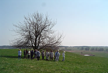 Blick in't Recknitz-Daal