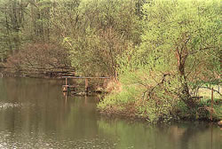 An de sch&ouml;ne Wakenitz