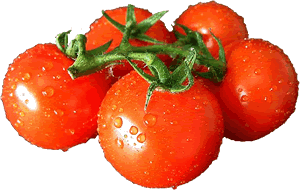 Tomaten