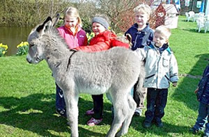 Ik bün en Kinnerstar, da is Iesboor Knut nix dagegen!