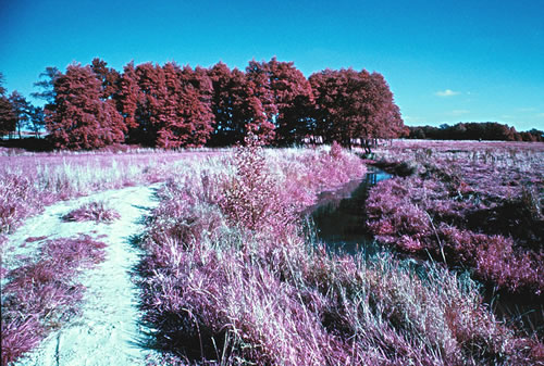 IR-Fotos: So kennt man dei Landschkup mutz nich wer. — Se köönt dat Bild dör Klick vergröttern! Trügge kaomt Sei wer mit den "Zurück"-Knoop up dei Symbollieste