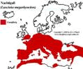 In de rood klöörten Rebetten is de Nachtegall antodrepen