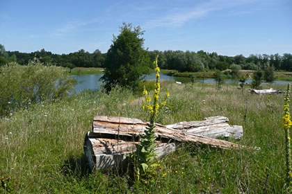 Landschap an'n Drägerweg