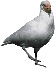 Schön hooch de Fööt bi koles Weder!